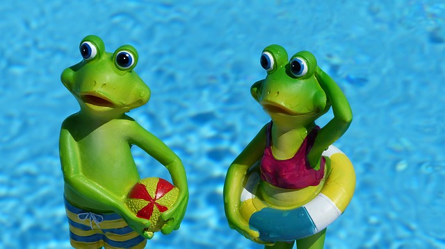 žáby v bazéně