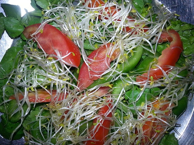 rostlinné klíčky v zeleninovém salátu